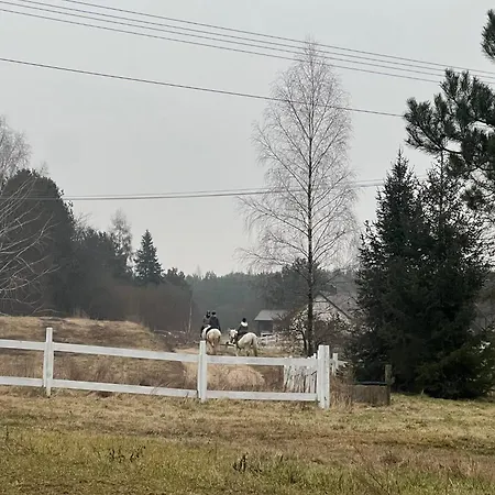 Villa Galopowisko Szafarnia *