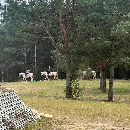 Galopowisko Szafarnia Szafarnia (Warmian-Masurian)