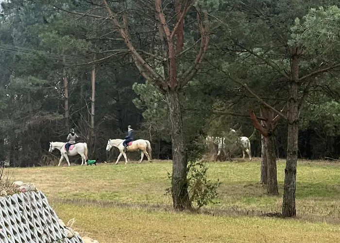 Galopowisko Szafarnia Szafarnia (Warmian-Masurian)